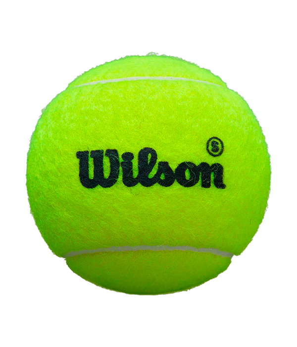 Pelotas Wilson Padel Premier Speed (Pack x3)